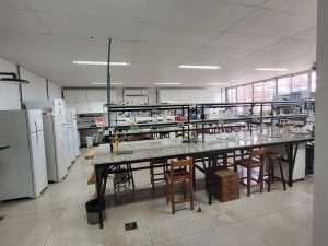 20250327_112548-Bruna-Fuga-Araujo